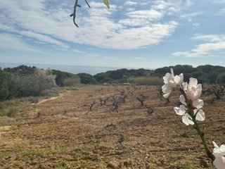 Terreno en venta en Arenys de Munt