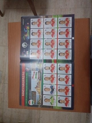 Álbum EURO 2016 Francia Panini A falta de 22 cromo