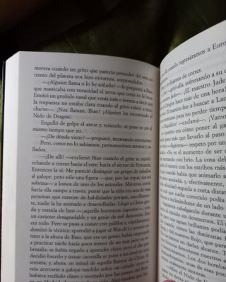 Todo bajo el cielo