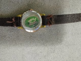 Orologio Orient Donna Oro e Marrone