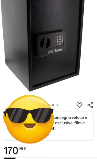 Cassaforte Burg Wachter Favor S9E
