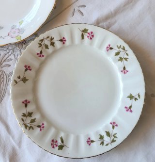 6 dessert vintage