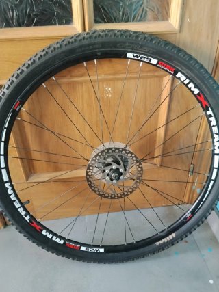 Rueda Delantera Bici 29 Celot W29 Disk