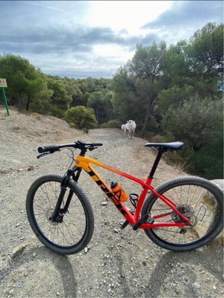 Trek Procaliber 9.5 talla(ml)
