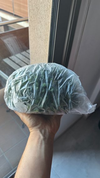 Planta artificial redonda en maceta gris