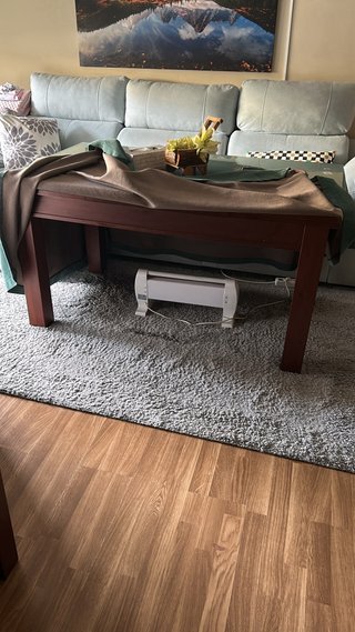 Mueble de salón madera maciza