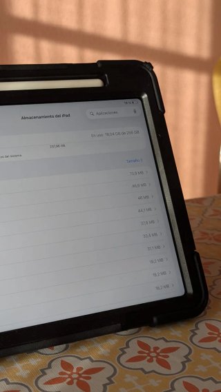 iPad Pro 11 256GB + Apple Pencil + Funda