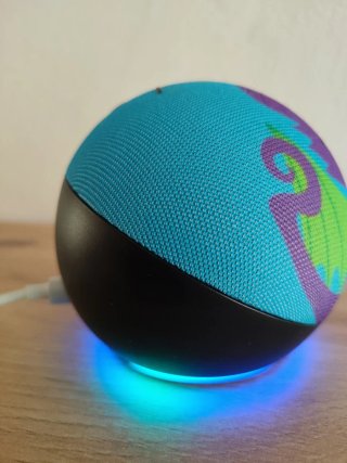 Alexa Amazon Sfera Drago Echo dot 5