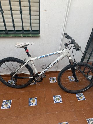 Bicicleta Orbea, Rookie y mendiz