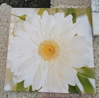 Vari quadri decorativi
