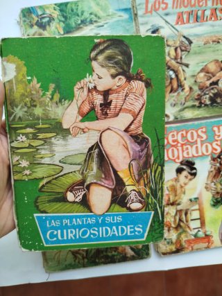 Lote 4 libros antiguos Colección Aurea infantil