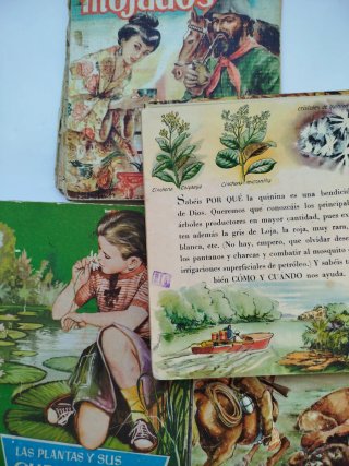 Lote 4 libros antiguos Colección Aurea infantil