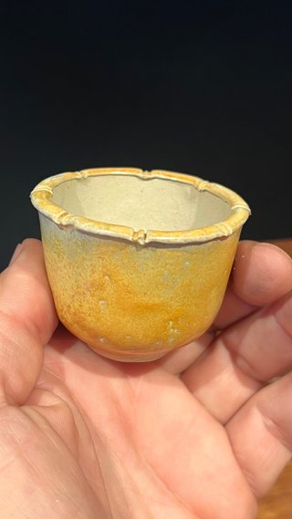 MACETA DE AUTOR GIANG / LOTUS BONSAI 01/25 PAJARO