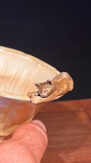 MACETA DE AUTOR GIANG / LOTUS BONSAI 12/24 GATO