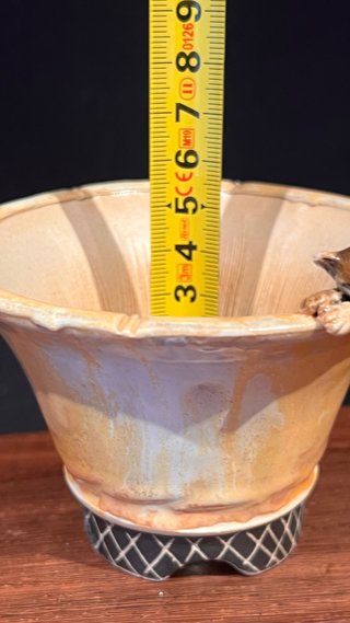 MACETA DE AUTOR GIANG / LOTUS BONSAI 12/24 GATO