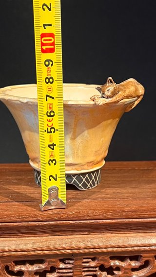 MACETA DE AUTOR GIANG / LOTUS BONSAI 12/24 GATO
