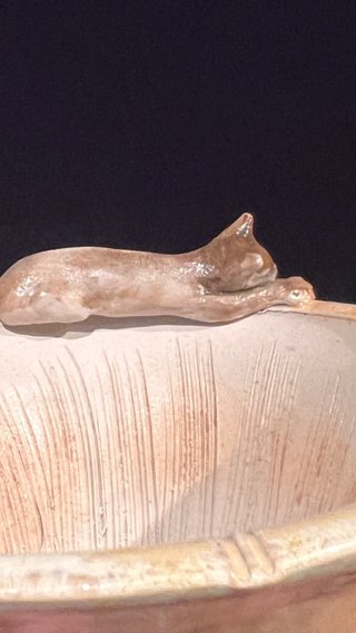 MACETA DE AUTOR GIANG / LOTUS BONSAI 12/24 GATO