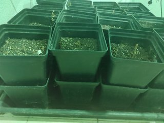 Kit Cultivo Interior 20m2