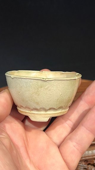 MACETA DE AUTOR GIANG / LOTUS BONSAI 01/25 PAJARO