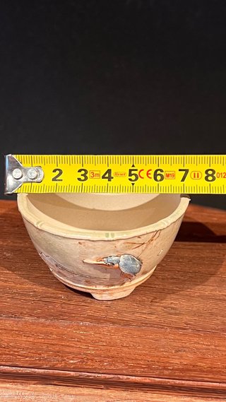 MACETA DE AUTOR GIANG / LOTUS BONSAI 01/25 PAJARO