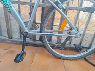 Bicicleta de montaña plateada