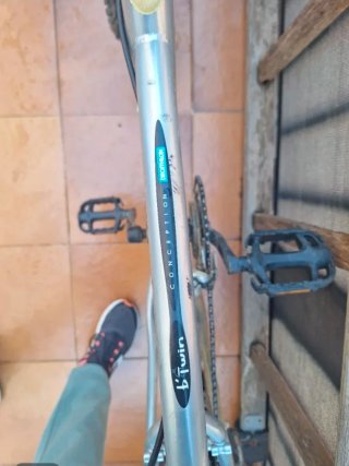 Bicicleta de montaña plateada