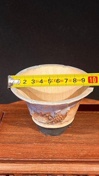 MACETA DE AUTOR GIANG / LOTUS BONSAI 11/24 TORTUGA