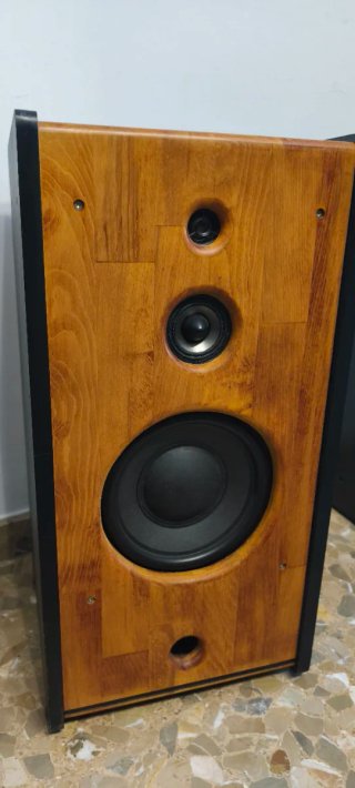 Altavoces madera y negro