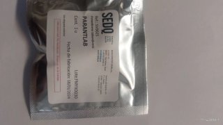 SEDQ PARANTLAB Paranthrene tabaniformis