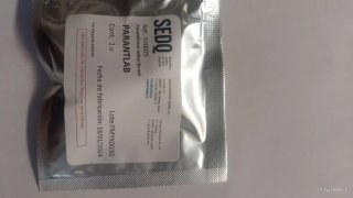 SEDQ PARANTLAB Paranthrene tabaniformis