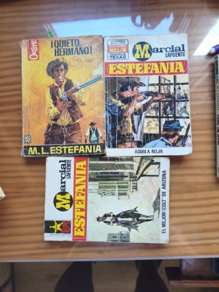 40 Novelitas del oeste, la mayoría de estefania