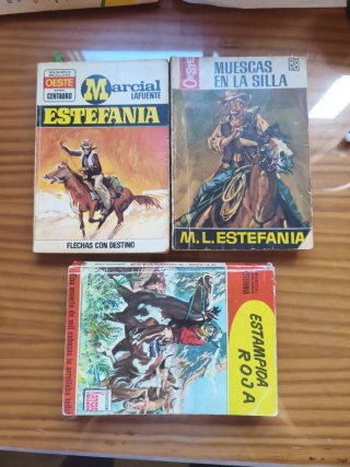 40 Novelitas del oeste, la mayoría de estefania