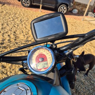 Indian Scout 1200 - 2016