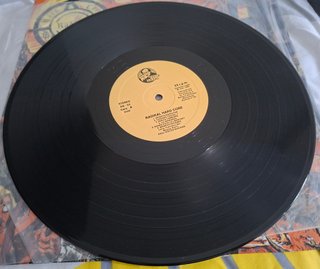 Radikal Hard Core Venganza Vinilo LP