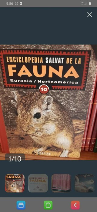 Enciclopedia