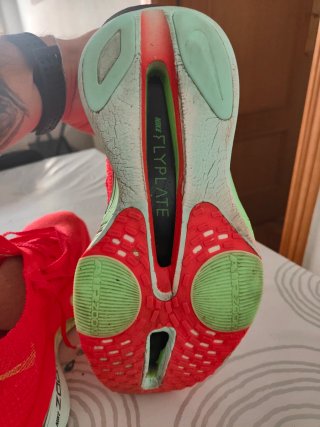 NIKE ALPHAFLY NETX 3%