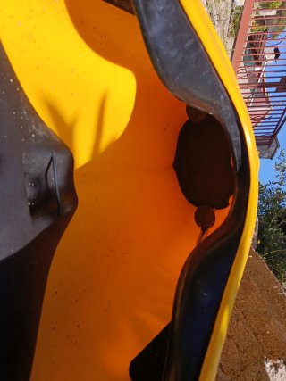 Kayak Rainbow Laser 515 Amarillo