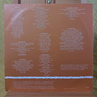 DISCO VINILO PRIMAVERA NEGRA