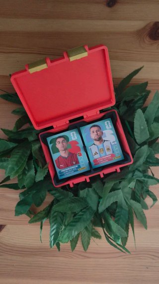 Caja cromos Mundial 2026 Panini