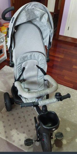 Triciclo evolutivo gris