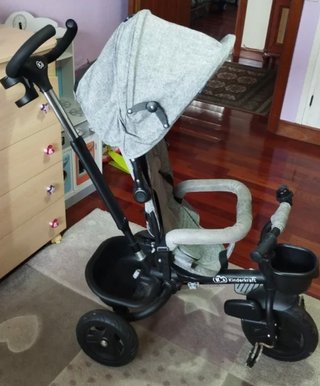 Triciclo evolutivo gris