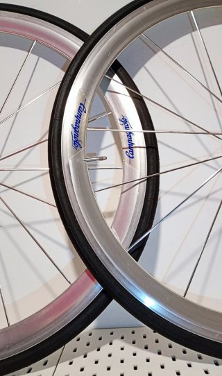 Ruedas Campagnolo Shamal