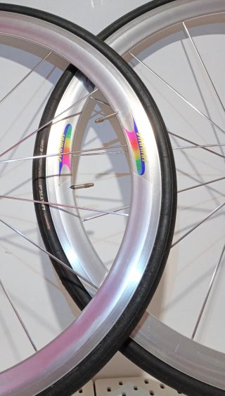 Ruedas Campagnolo Shamal