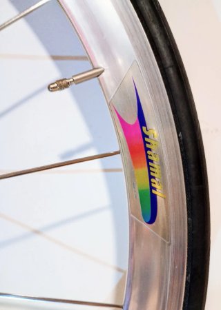 Ruedas Campagnolo Shamal