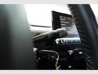 Citroën C4 Cactus BlueHDi 100 S&S Feel (2020)