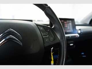 Citroën C4 Cactus BlueHDi 100 S&S Feel (2020)