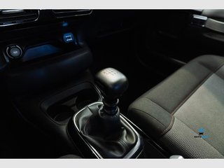 Citroën C4 Cactus BlueHDi 100 S&S Feel (2020)
