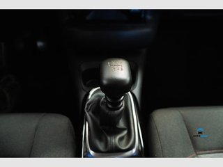 Citroën C4 Cactus BlueHDi 100 S&S Feel (2020)