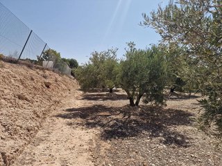 Terreno en venta en Crevillent