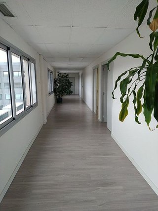 Oficina en venta en El Coll - Sant Francesc en Sant Cugat del Vallès